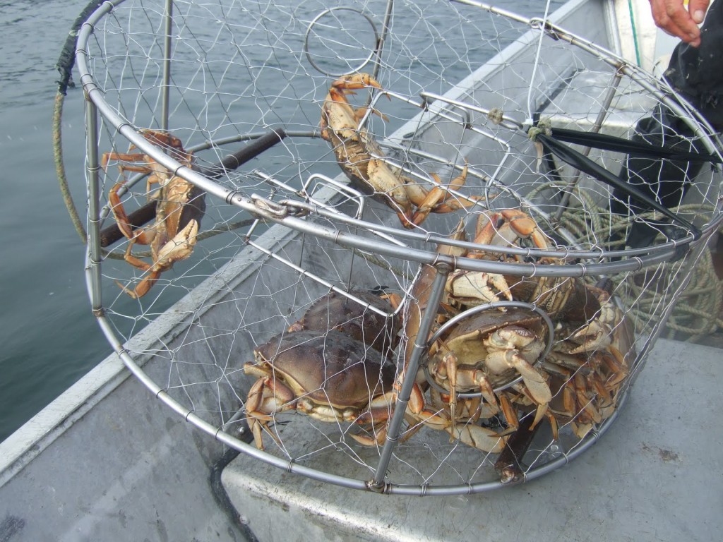 3_Crabbing